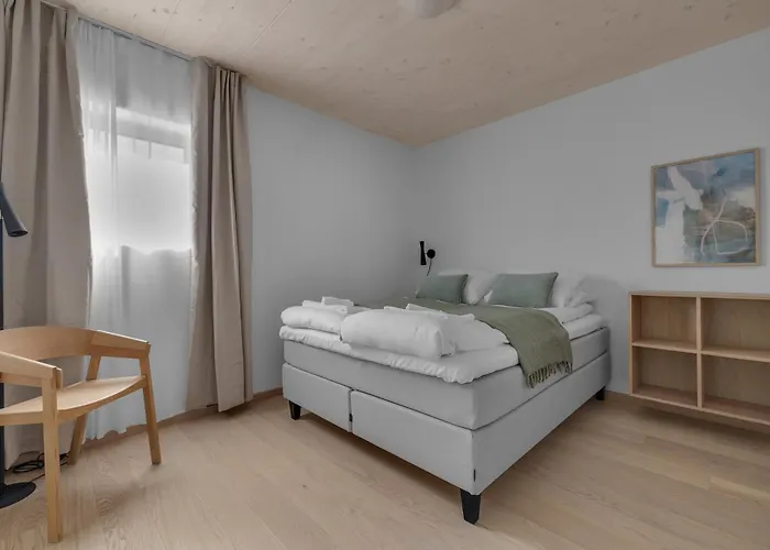 Northern Lights Tromsø